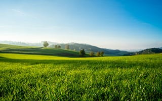 Картинка природа, пейзаж, холм, трава, растение, зеленый