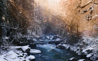Картинка Winter Stream,  Stream,  Зима
