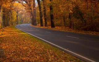 Картинка Дорога,  Поворот,  Листья,  Осень