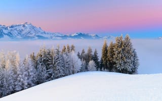 Картинка Зима,  Пейзаж,  Деревья,  Туман,  Природа,  Горы,  Снег