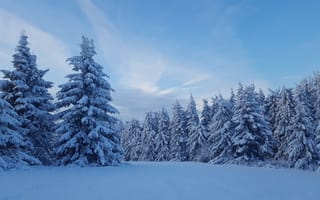 Картинка Снег,  Природа,  Зима