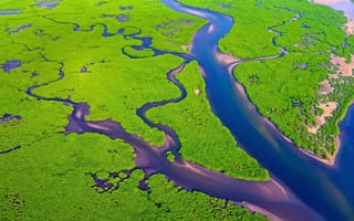 Картинка Амазонка, Бразилия, река, природа, сверху, c воздуха, аэросъемка, съемка с дрона