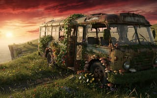Картинка автобус, природа, закат, растения, цветы, пейзаж, ржавчина, мох, горы, пустота