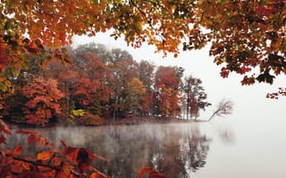 Картинка осень, осенние, время года, сезоны, сезонные, лес, деревья, дерево, природа, вода, озеро, пруд, лист, листья, листва, туман, дымка