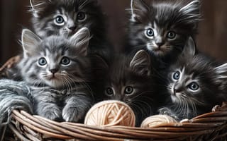 Картинка котята, питомцы, корзина, мягкие, игрушки, домашние, животные