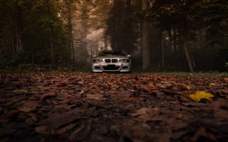 Картинка BMW, BMW E46, E46, бмв, машины, машина, тачки, авто, автомобиль, транспорт, вид спереди, спереди, лес, деревья, дерево, природа, осень