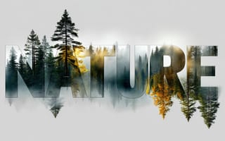 Картинка природа, лес, обои, пейзаж, деревья, осень, горы