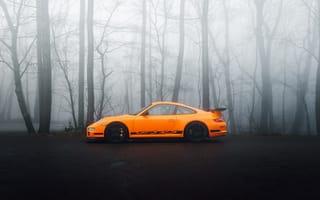 Картинка Porsche 911 GT3, Porsche 911, Porsche, Порше, машины, машина, тачки, авто, автомобиль, транспорт, современная, вид сбоку, сбоку, лес, деревья, дерево, лесной, природа, туман, дымка, оранжевый