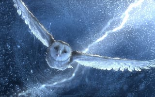 Картинка Сова,  арт,  птица,  синий,  молния,  гроза,  снег,  полет