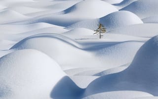 Картинка снег, Apple, HD, 4k