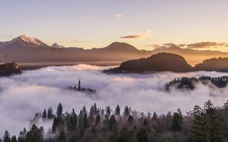 Обои туман, горы, лес