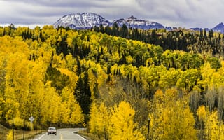 Картинка осень, лес, деревья, горы, дорога, Колорадо, США