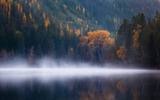 Картинка Эхо-озеро, лес, Колумбия, осень