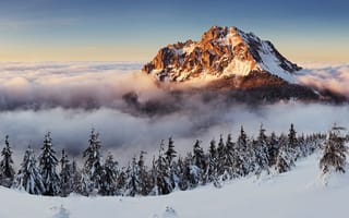 Картинка горы, зима