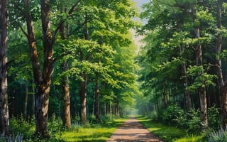 Картинка лес, природа, пейзаж, деревья, дорожка, зелень, освещение