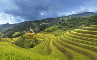 Картинка Рисовые террасы,  Китай