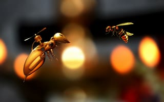 Картинка пчела,  робот