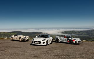 Обои Jaguar F-Type Rally Car, 2018 Cars