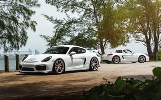 Картинка Cayman GT4 Porsche,  6K,  5K,  4K,  3K,  2K,  Roadster,  Белый,  Автомобиль,  Porsche,  Gt4,  Cayman