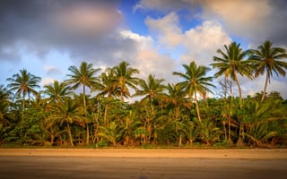 Картинка Пальмы,  Природа,  Песок,  Пляж,  Деревья