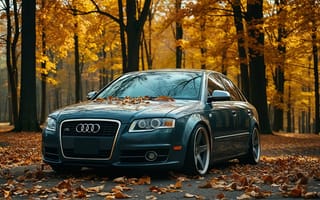 Картинка автомобиль, осень, Audi, пейзаж, листья, дорога, природа