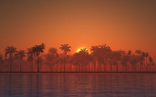 Картинка закат, пальмы, море, природа, пейзаж, тишина, гладь воды