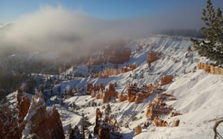 Картинка Bryce Canyon Ut Winter Storm,  Storm,  Зима,  Ut,  Canyon,  Bryce