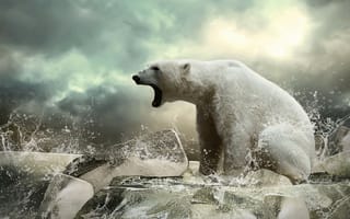 Картинка Полярный медведь,  океан,  рев,  лед