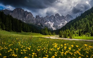 Картинка горы, природа, пейзаж, цветы, небо, лес, долина, облака, лето, водоем