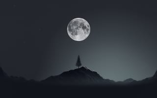 Картинка луна, ночь, гора, природа, дерево, ель, елка