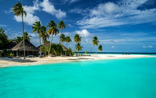 Картинка Мальдивы, 5k, 4k, 8k, Индийский Океан, и на русском Лучшие в мире пляжи, пальмы, берег, небо