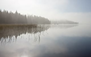 Картинка Река,  небо,  деревья,  туман,  4k,  5k