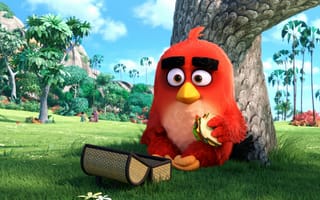 Картинка Red Angry Birds Movie,  Кино,  Птицы,  Angry,  Красный