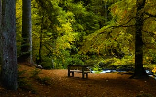 Картинка лес, осень, природа, скамейка, пейзаж, деревья, река
