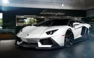 Картинка White Lamborghini,  Lamborghini,  Белый