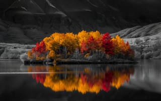 Картинка осень, природа, остров, деревья, отражение, пейзаж, цвета