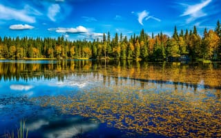 Картинка Осенняя пора,  Обои 4к,  Природа,  Река,  Туман,  Осень