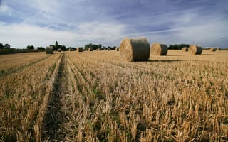 Картинка Фейвешем,  небо,  луга,  поле,  сено,  Англия,  Кент,  4k,  5k