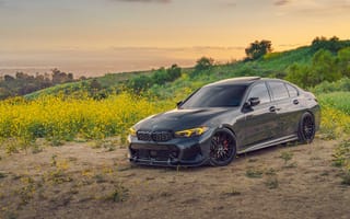 Картинка автомобиль, BMW, природа, пейзаж, черный, цветы, закат