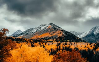 Картинка горы, гора, природа, пейзаж, осень, лес, деревья, дерево