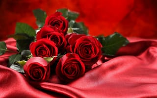 Картинка Red Cloth and Roses,  Roses,  Cloth,  Красный