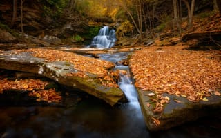 Картинка Осенняя река,  Водопад,  Листья,  Река