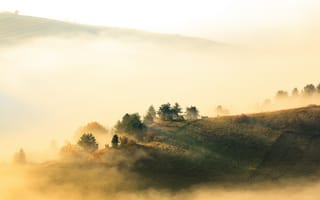 Картинка Пенины, Польша, природа, пейзаж, утро, утренний, рассвет, восход, туман, дымка