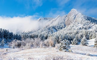Картинка гора, зима, зимние, время года, сезоны, сезонные, лес, деревья, дерево, лесной, природа, снег, белый