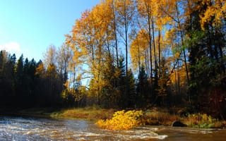 Картинка Река осень,  Осень,  Река