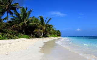 Картинка Пляж Фламенко,  Travellers Choice Awards 2016,  лучшие пляжи 2016,  пальмы,  Пуэрто-Рико,  Кулебра