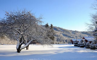 Картинка деревья, снег, холм, дома, небо, зима