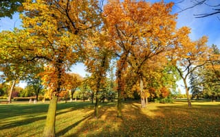 Картинка листья, парк, деревья, небо, пейзаж, осень, трава