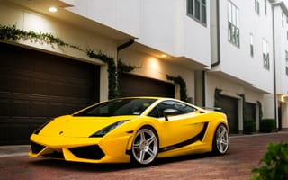 Картинка Lamborghini, Gallardo, Ламборджини, Ламборгини, люкс, дорогая, машины, машина, тачки, авто, автомобиль, транспорт, спорткар, спортивная машина, спортивное авто, желтый
