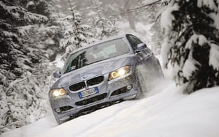 Картинка BMW, 320d, палки, Touring, ёлки, снег